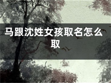 马跟沈姓女孩取名怎么取