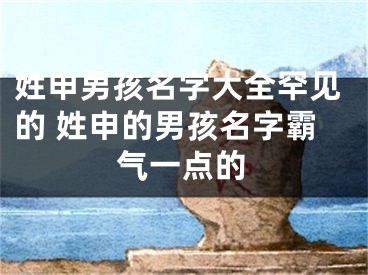 姓申男孩名字大全罕见的 姓申的男孩名字霸气一点的
