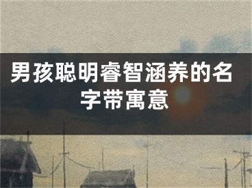 男孩聪明睿智涵养的名字带寓意