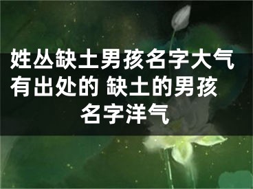 姓丛缺土男孩名字大气有出处的 缺土的男孩名字洋气