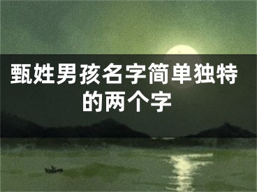 甄姓男孩名字简单独特的两个字