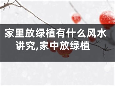 家里放绿植有什么风水讲究,家中放绿植