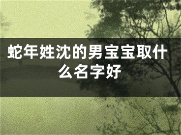 蛇年姓沈的男宝宝取什么名字好