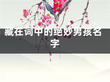 藏在词中的绝妙男孩名字