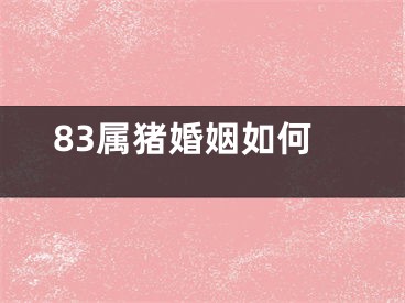 83属猪婚姻如何