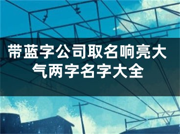 带蓝字公司取名响亮大气两字名字大全