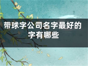 带球字公司名字最好的字有哪些