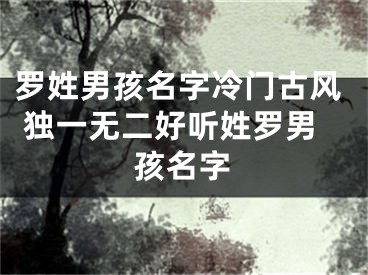 罗姓男孩名字冷门古风 独一无二好听姓罗男孩名字