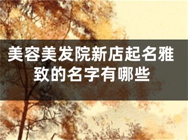 美容美发院新店起名雅致的名字有哪些