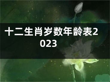 十二生肖岁数年龄表2023