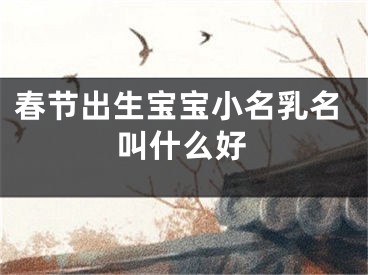 春节出生宝宝小名乳名叫什么好