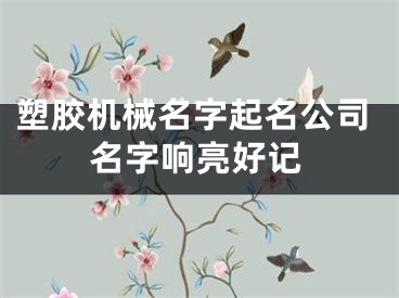 塑胶机械名字起名公司名字响亮好记