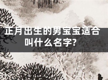 正月出生的男宝宝适合叫什么名字?