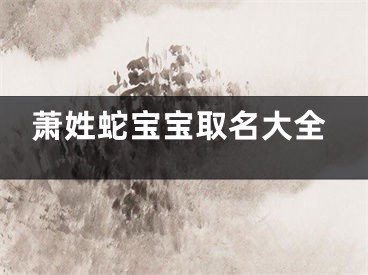 萧姓蛇宝宝取名大全