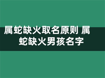 属蛇缺火取名原则 属蛇缺火男孩名字