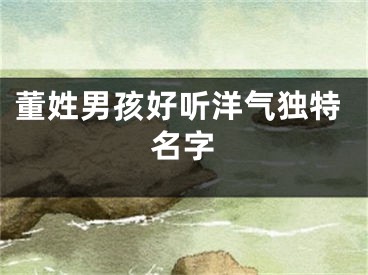 董姓男孩好听洋气独特名字