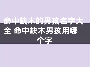 命中缺木的男孩名字大全 命中缺木男孩用哪个字