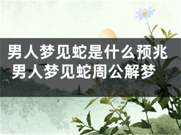 男人梦见蛇是什么预兆 男人梦见蛇周公解梦