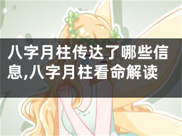 八字月柱传达了哪些信息,八字月柱看命解读