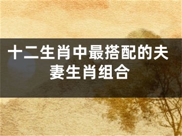 十二生肖中最搭配的夫妻生肖组合