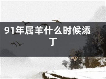 91年属羊什么时候添丁