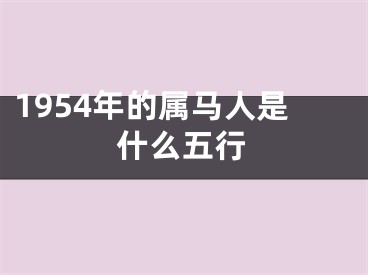 1954年的属马人是什么五行