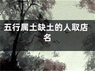五行属土缺土的人取店名
