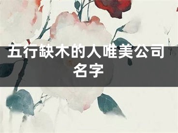 五行缺木的人唯美公司名字