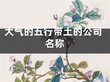 大气的五行带土的公司名称