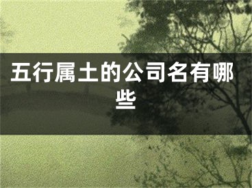 五行属土的公司名有哪些