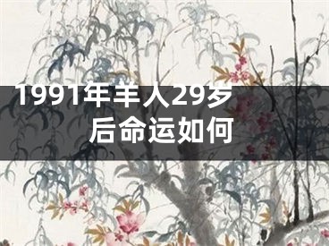 1991年羊人29岁后命运如何