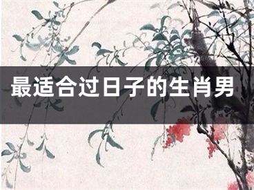 最适合过日子的生肖男