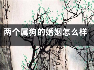 两个属狗的婚姻怎么样