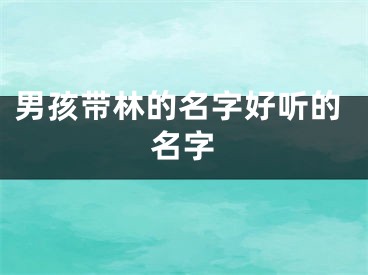 男孩带林的名字好听的名字