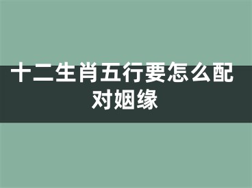 十二生肖五行要怎么配对姻缘