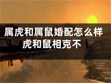 属虎和属鼠婚配怎么样 虎和鼠相克不
