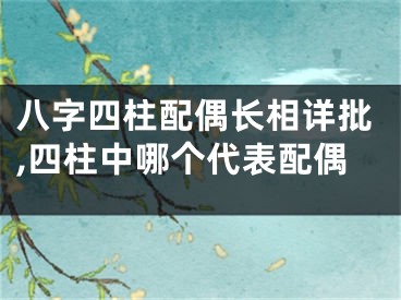 八字四柱配偶长相详批,四柱中哪个代表配偶