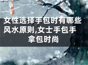 女性选择手包时有哪些风水原则,女士手包手拿包时尚
