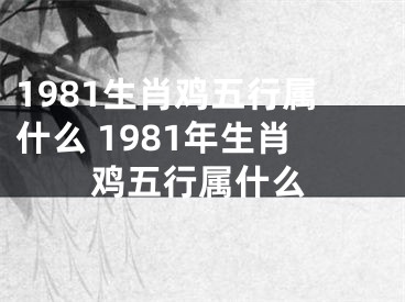 1981生肖鸡五行属什么 1981年生肖鸡五行属什么