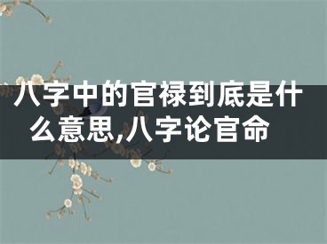 八字中的官禄到底是什么意思,八字论官命