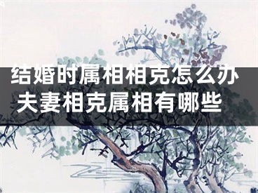 结婚时属相相克怎么办 夫妻相克属相有哪些