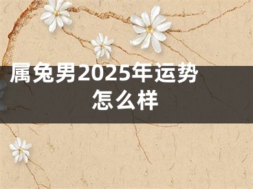 属兔男2025年运势怎么样