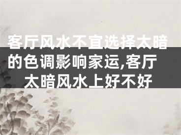 客厅风水不宜选择太暗的色调影响家运,客厅太暗风水上好不好