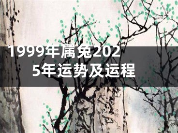 1999年属兔2025年运势及运程