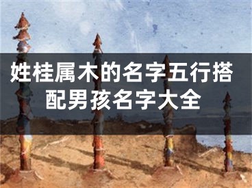 姓桂属木的名字五行搭配男孩名字大全