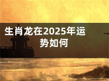 生肖龙在2025年运势如何