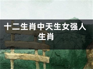 十二生肖中天生女强人生肖