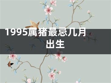 1995属猪最忌几月出生