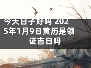 今天日子好吗 2025年1月9日黄历是领证吉日吗