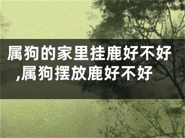 属狗的家里挂鹿好不好,属狗摆放鹿好不好